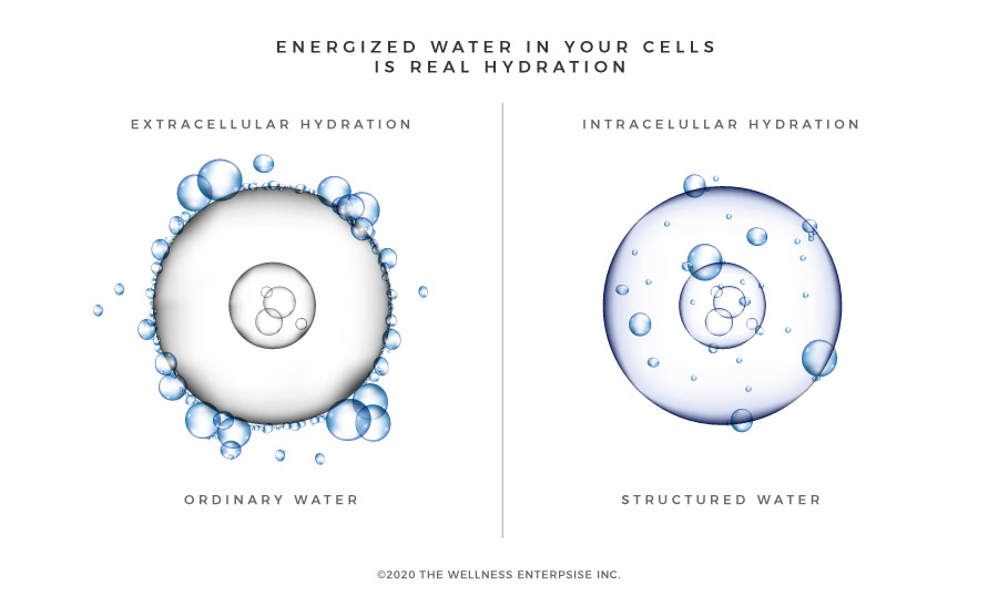 intra-extra-cellular-energy-structured water