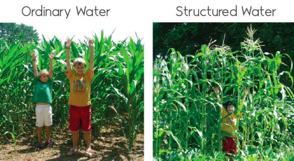 structured water agriculture