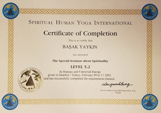 Spiritual Human Yoga Evrensel Enerji Başak Pirtini